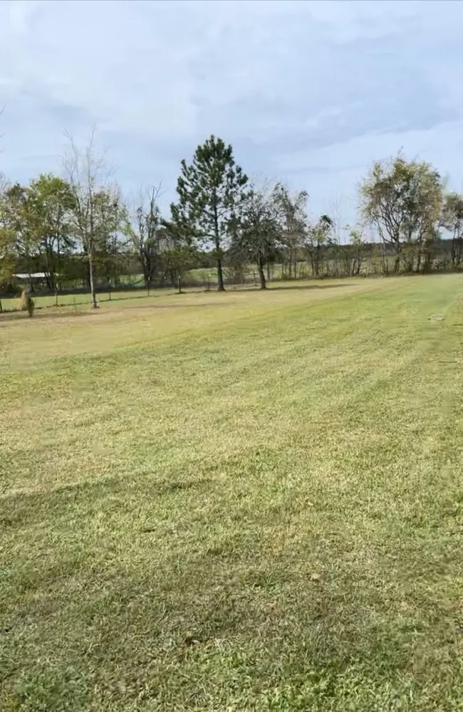Affordable garden landscaping near you across Barney, GA - Pro Lawn Cuts