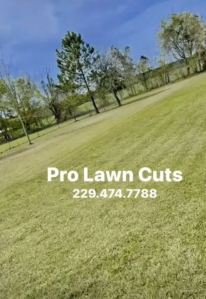 Reliable landscape design for beautiful yards across Barney, GA - Pro Lawn Cuts