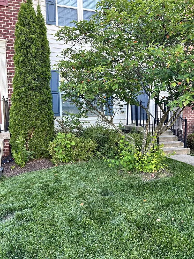 Affordable outdoor landscaping for year-round maintenance in Frederick, MD by Pro Lawn Cuts