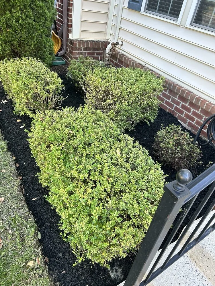 Expert landscape installation in Frederick, MD - Pro Lawn Cuts