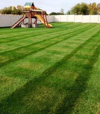 Pro Lawn