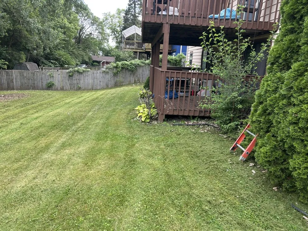 Professional yard cleanup service with custom design in Machesney Park, IL by Pro Lawn