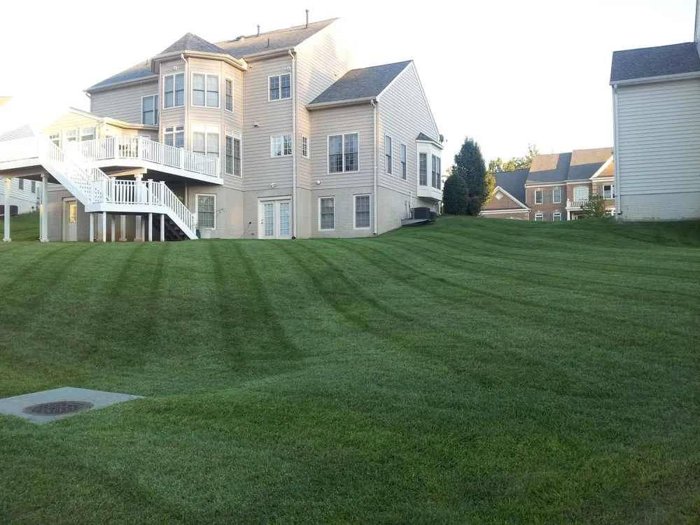 Affordable lawn care service for year-round maintenance in Manassas, VA by Pro Lawn