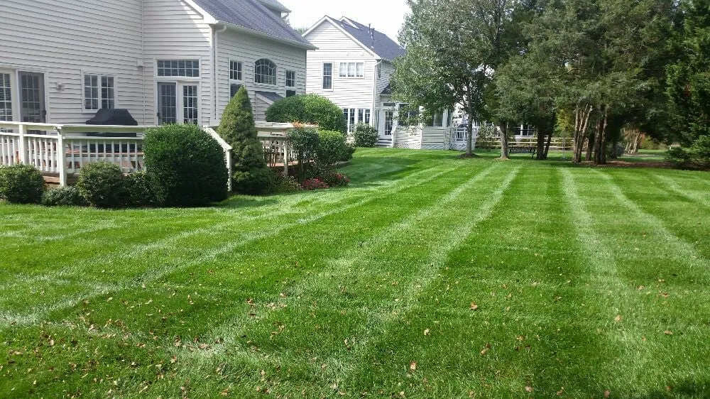 Affordable yard maintenance near you in Manassas, VA by Pro Lawn