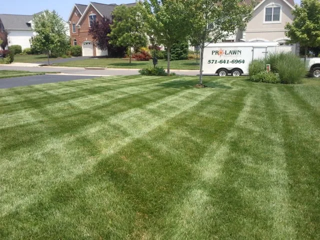 Expert lawn mowing service in Manassas, VA - Pro Lawn