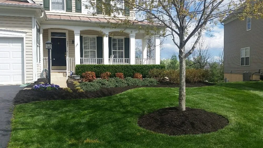 Top-rated yard cleanup service in Manassas, VA - Pro Lawn