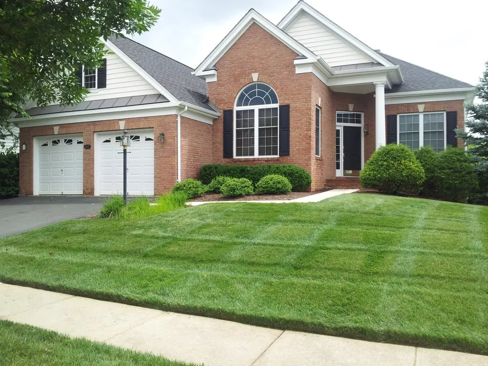 Expert outdoor landscaping for year-round maintenance across Manassas, VA - Pro Lawn