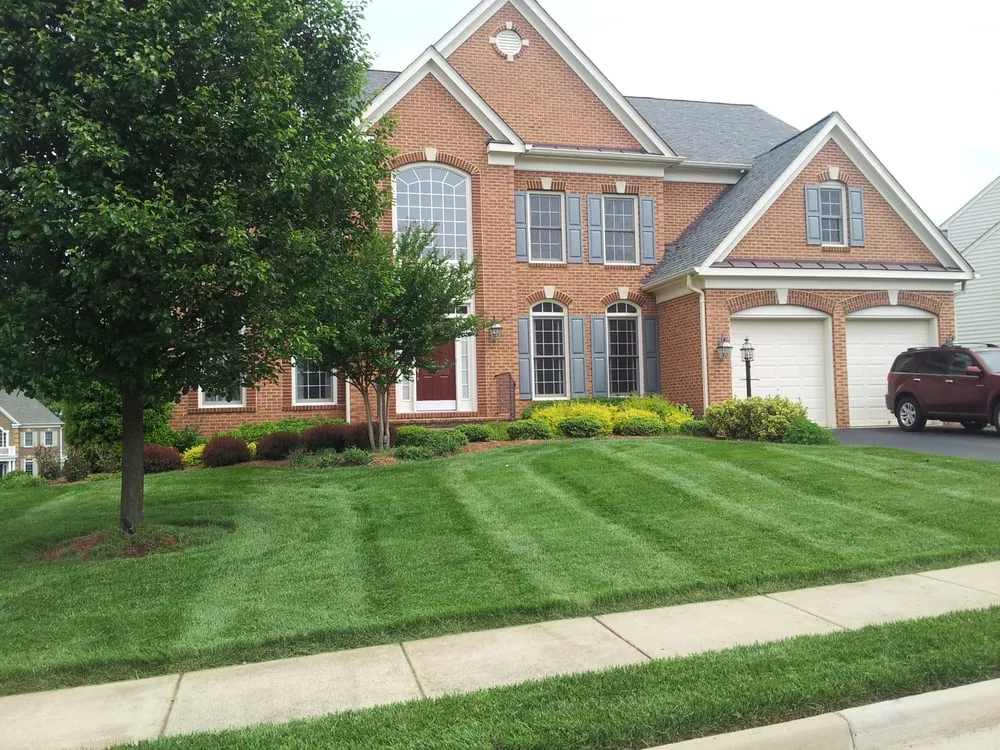 Affordable landscape installation in Manassas, VA - Pro Lawn
