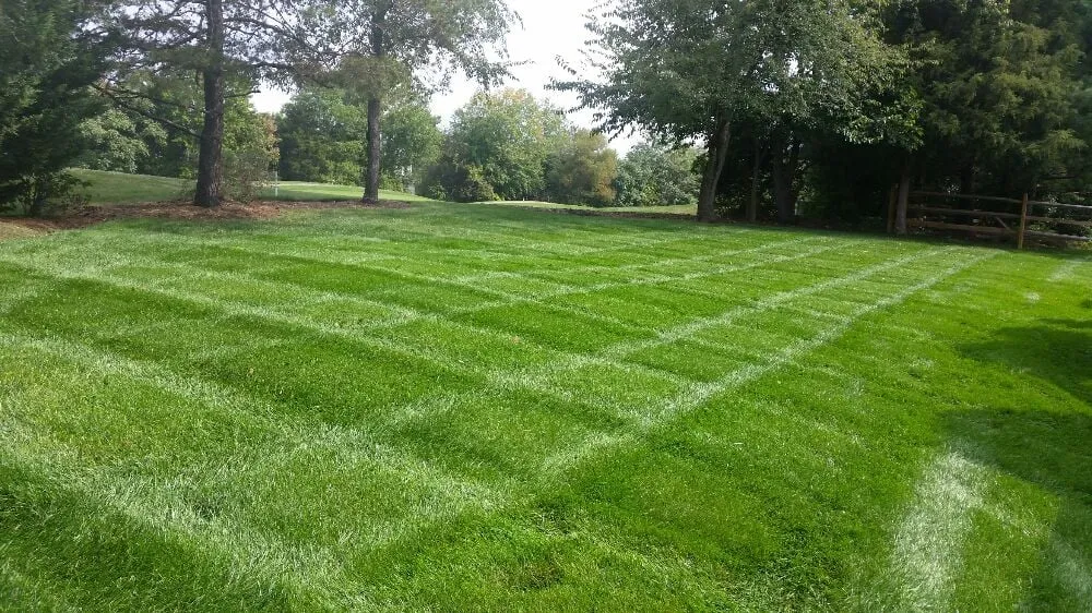 Trusted lawn care service experts serving Manassas, VA - Pro Lawn