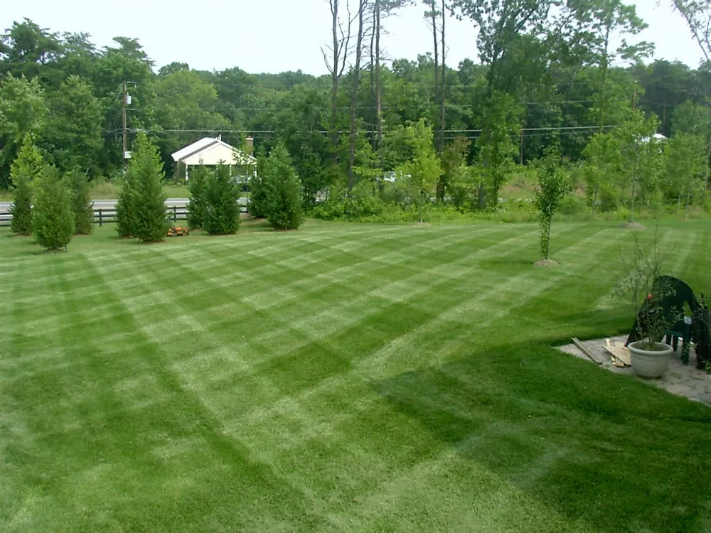 Affordable outdoor landscaping in Manassas, VA by Pro Lawn