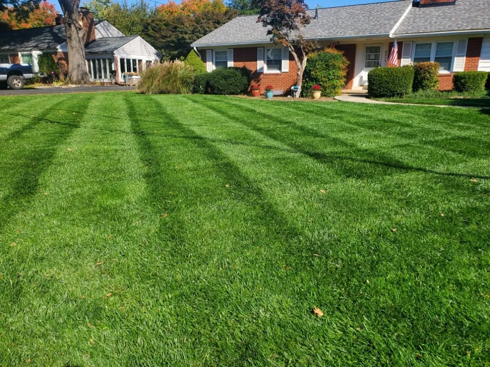 Local yard maintenance in Manassas, VA by Pro Lawn