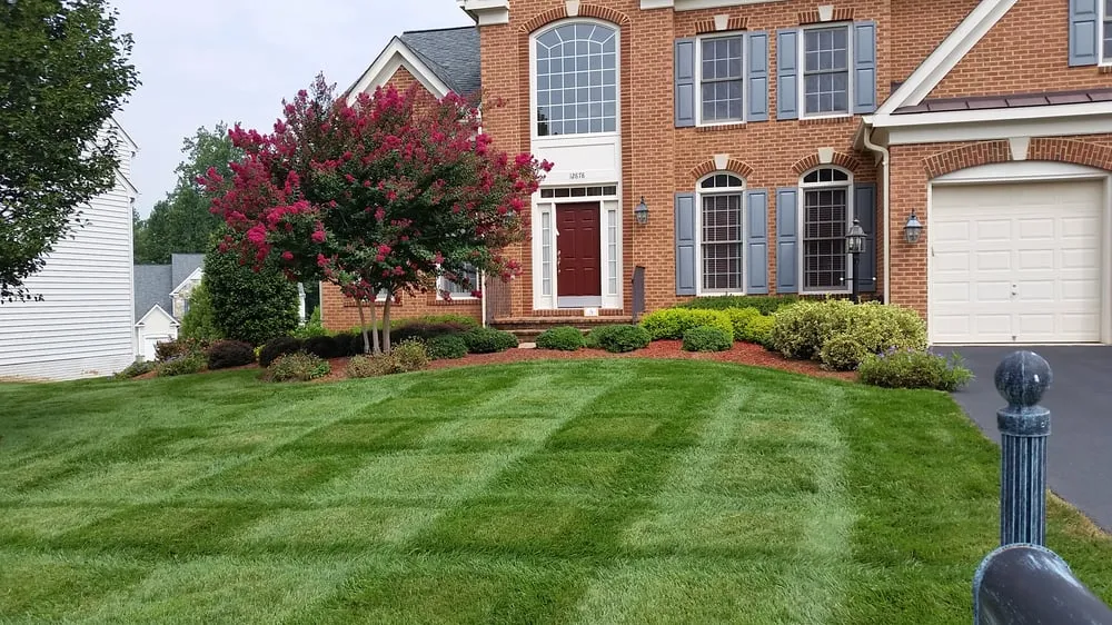 Local lawn care service in Manassas, VA - Pro Lawn