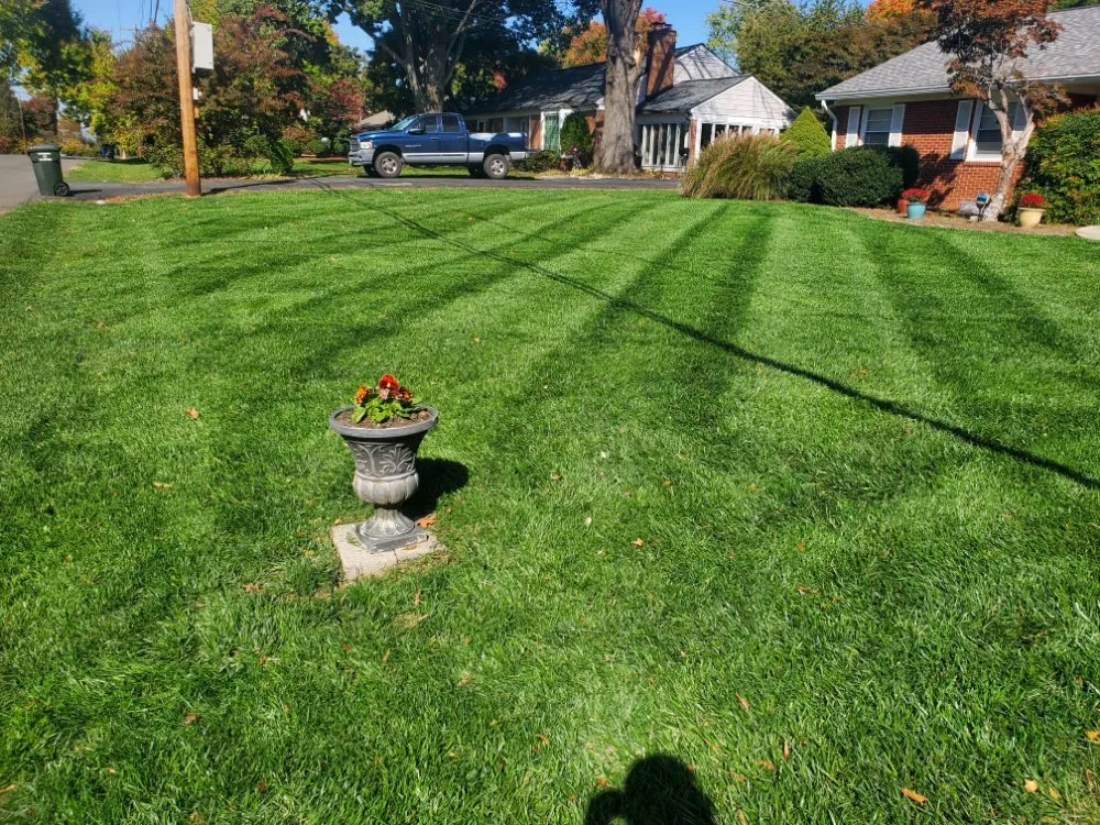 Trusted residential landscaping in Manassas, VA by Pro Lawn