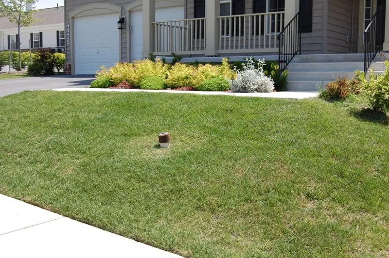 Trusted lawn care service with custom design in Baltimore, MD by Pro-Lawn-Plus Inc