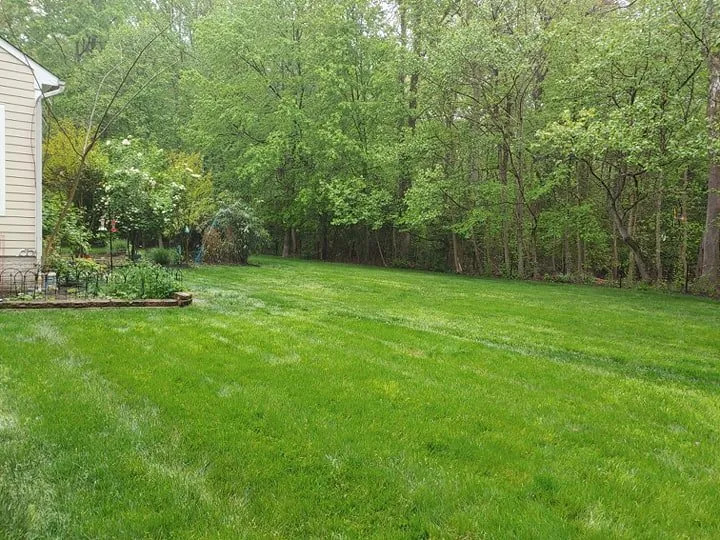 Local outdoor landscaping for year-round maintenance across Baltimore, MD - Pro-Lawn-Plus Inc