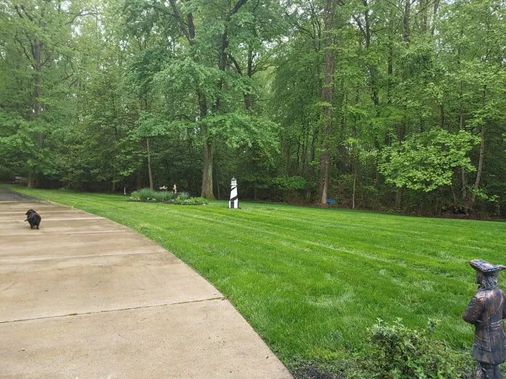 Custom garden landscaping in Baltimore, MD - Pro-Lawn-Plus Inc