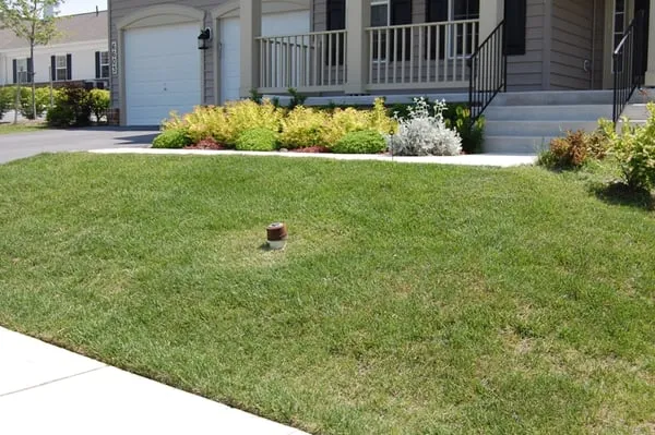 Pro-Lawn-Plus Inc Logo