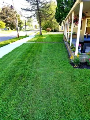 Pro Lawn