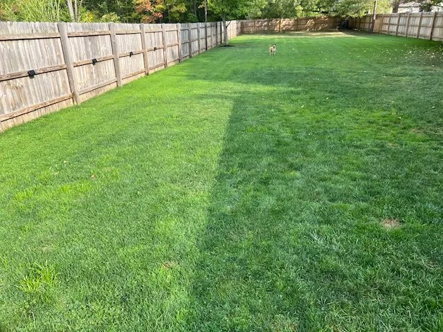 Professional landscape installation near you across Angola, NY - Pro Lawn Rolling & Aerating