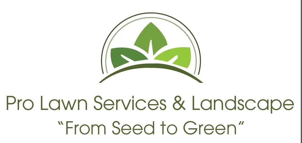 Expert yard maintenance for outdoor upgrades in Flowery Branch, GA by Pro Lawn Service