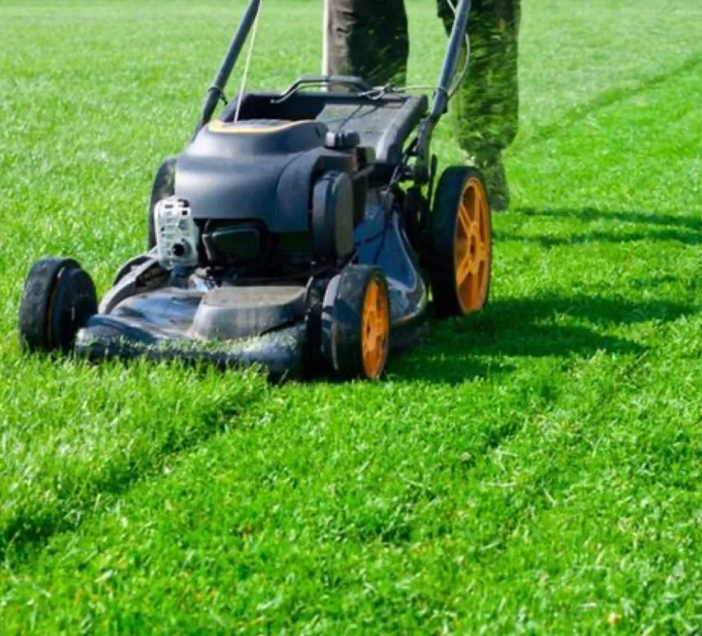 Top-rated residential landscaping for homes in Irvine, CA by Pro Lawn Solutions