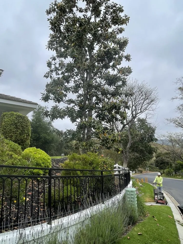 Custom garden landscaping near you in Irvine, CA by Pro Lawn Solutions