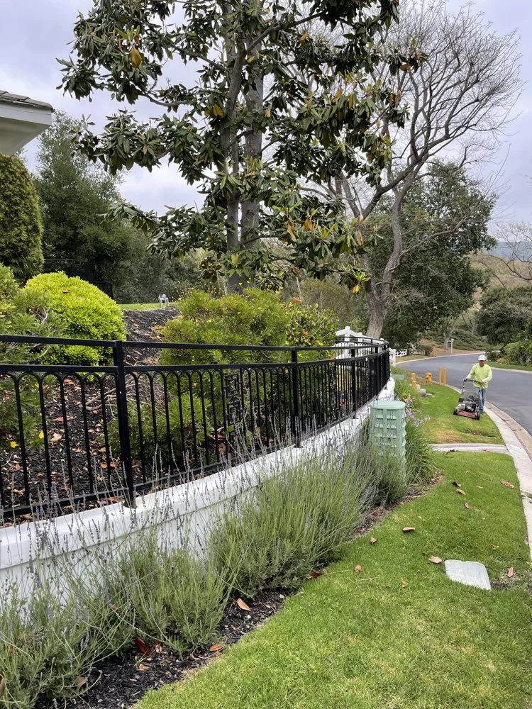 Expert landscape installation in Irvine, CA by Pro Lawn Solutions