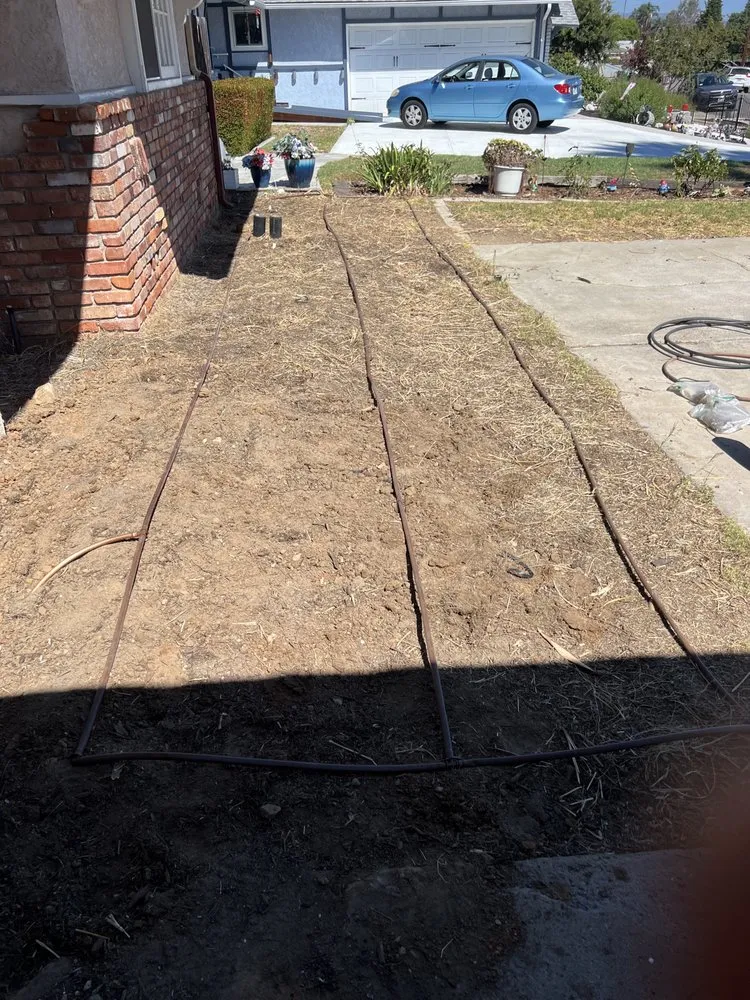 Expert lawn mowing service in Irvine, CA by Pro Lawn Solutions