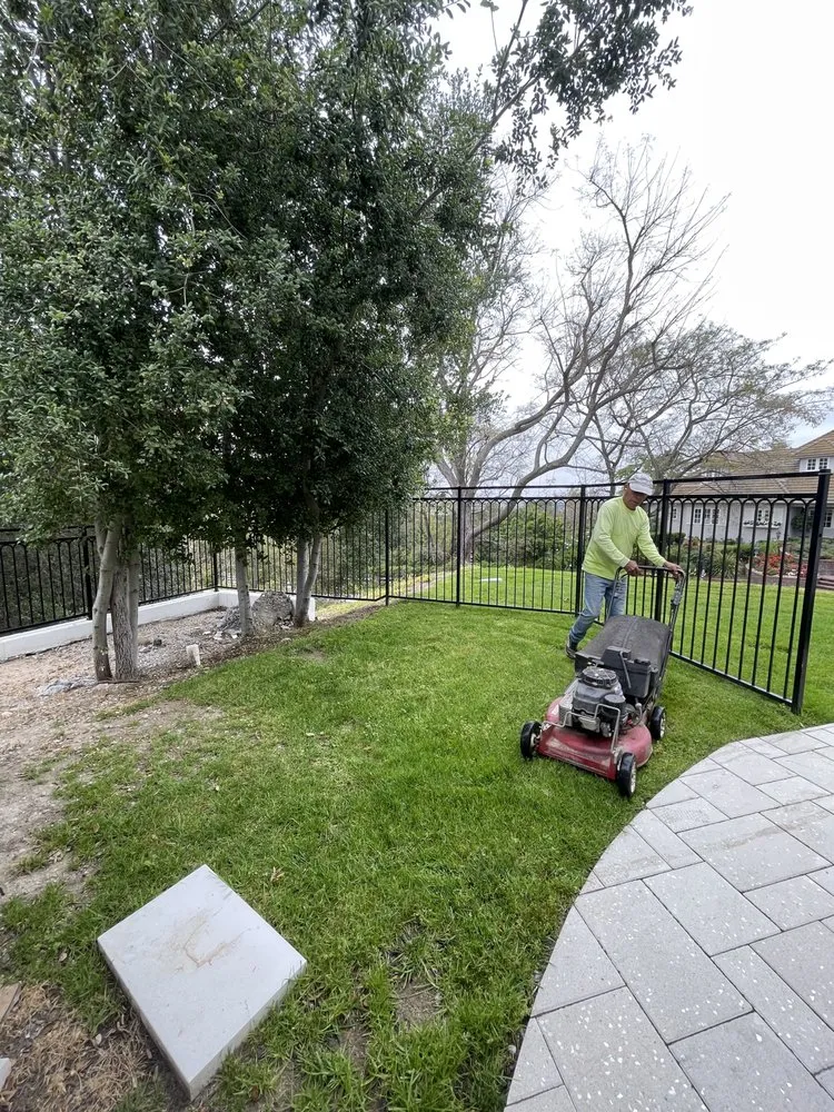 Top-rated landscape design for beautiful yards across Irvine, CA - Pro Lawn Solutions