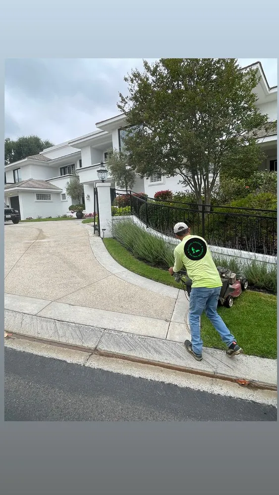 Expert landscape installation with custom design across Irvine, CA - Pro Lawn Solutions