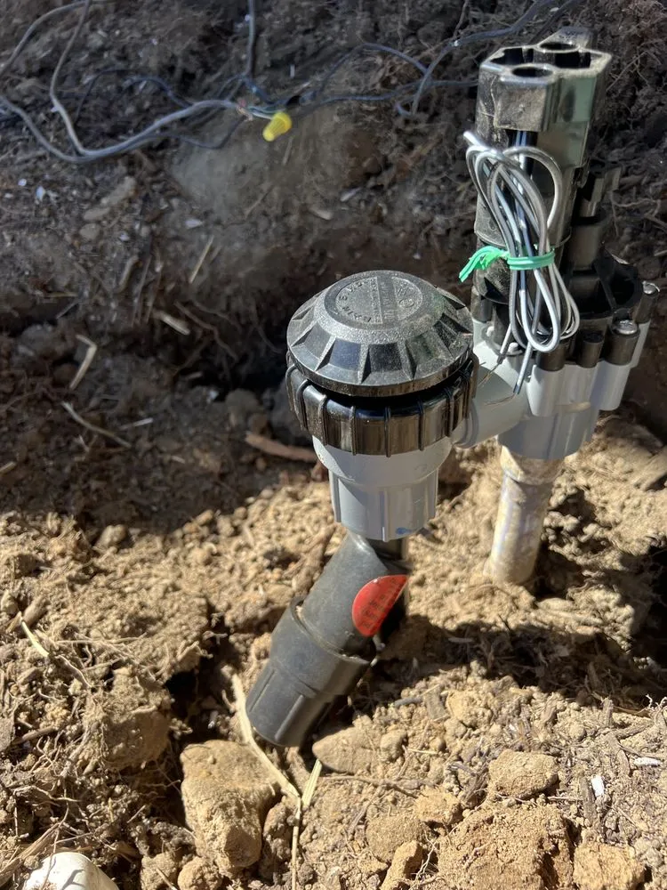 Professional landscape design in Irvine, CA - Pro Lawn Solutions