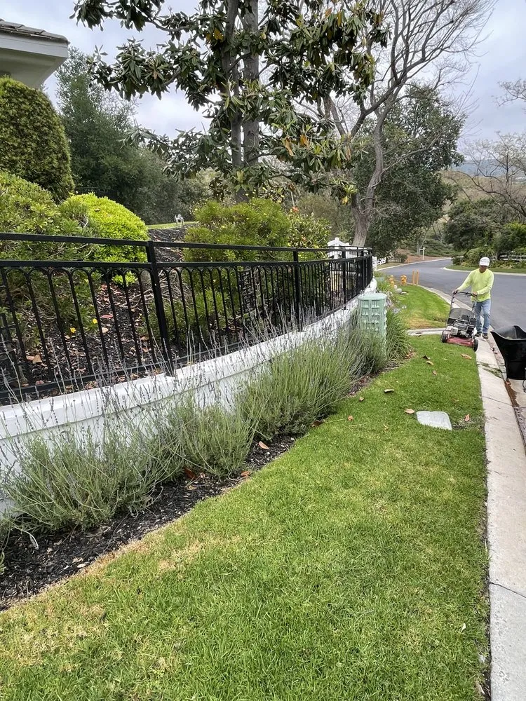 Affordable garden landscaping with custom design across Irvine, CA - Pro Lawn Solutions