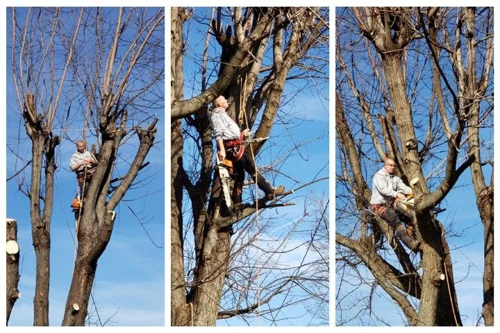 Expert lawn mowing service for year-round maintenance across Mitchell, IN - Pro Lawn Tree & Deck Care