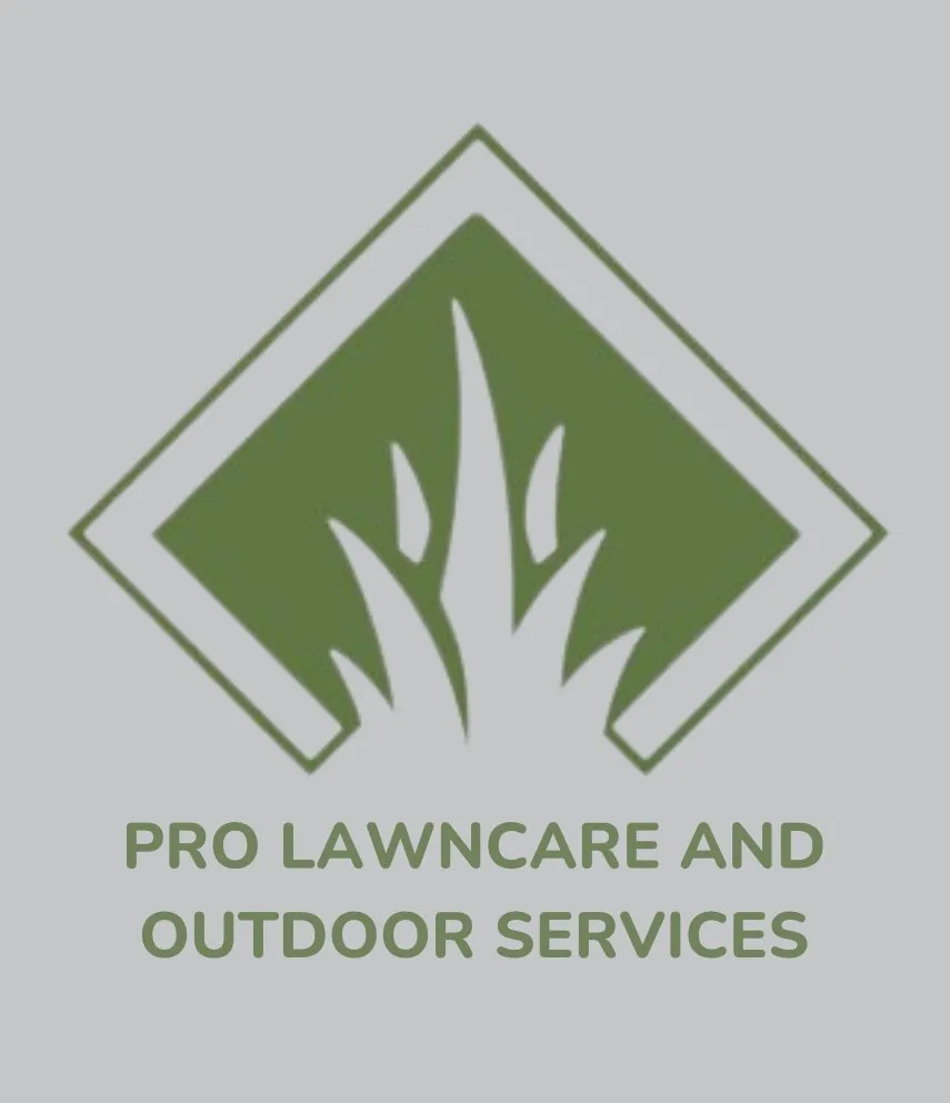 Custom yard maintenance in Belleville, NJ by Pro Lawncare And Outdoor Services