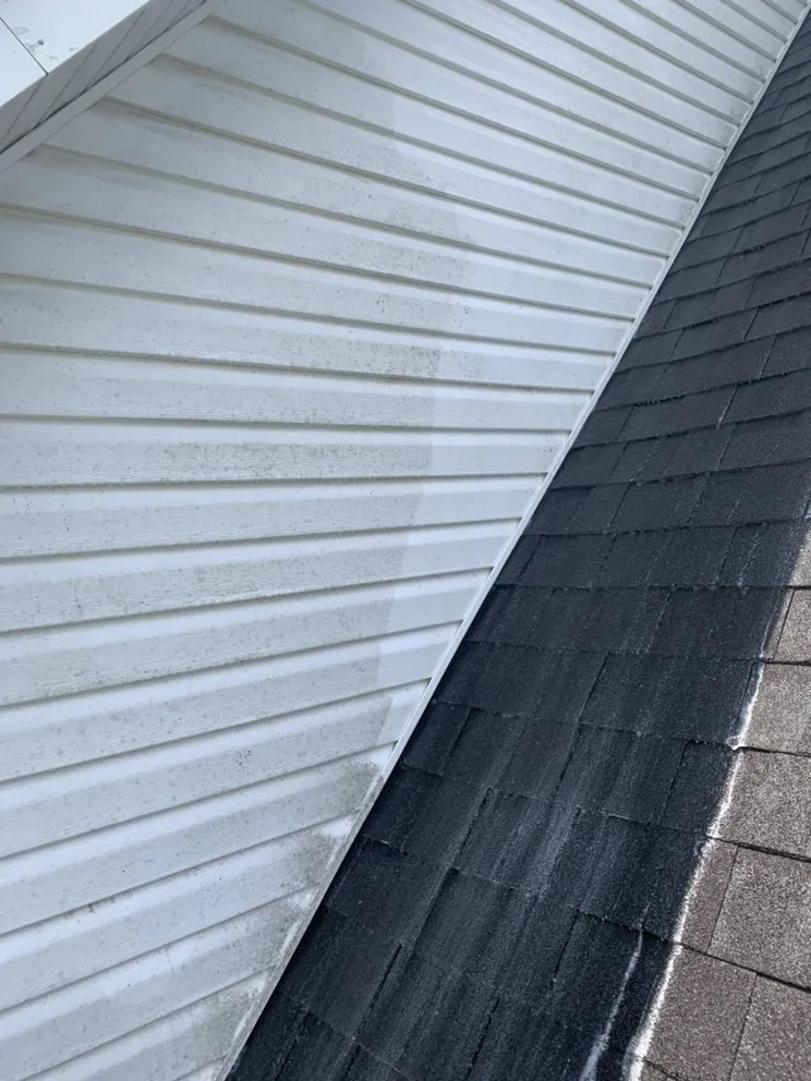 Reliable yard cleanup service experts serving Albertville, AL - Pro lawns and landscaping