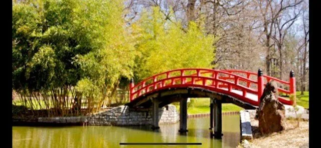 Expert lawn care service experts serving Albertville, AL - Pro lawns and landscaping