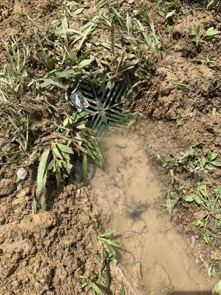 Professional outdoor landscaping in Albertville, AL by Pro lawns and landscaping