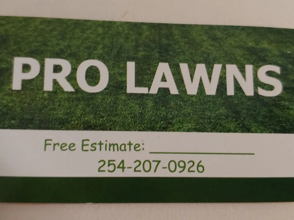 Professional landscape design for outdoor upgrades across Killeen, TX - Pro Lawns