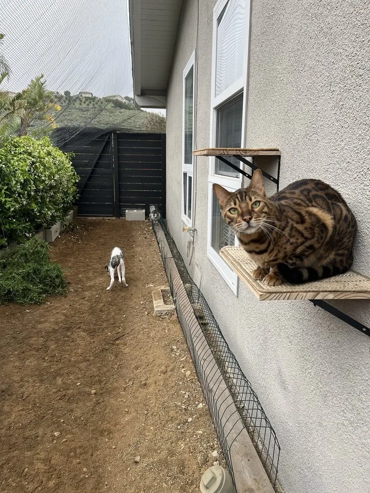 Reliable landscaping services for homes in Thousand Oaks, CA by Pro Lawns Landscape