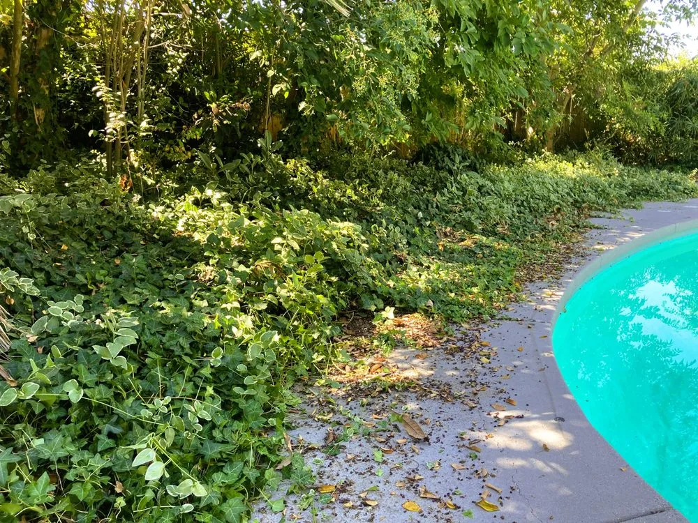 Trusted landscape design for residential properties in Thousand Oaks, CA by Pro Lawns Landscape