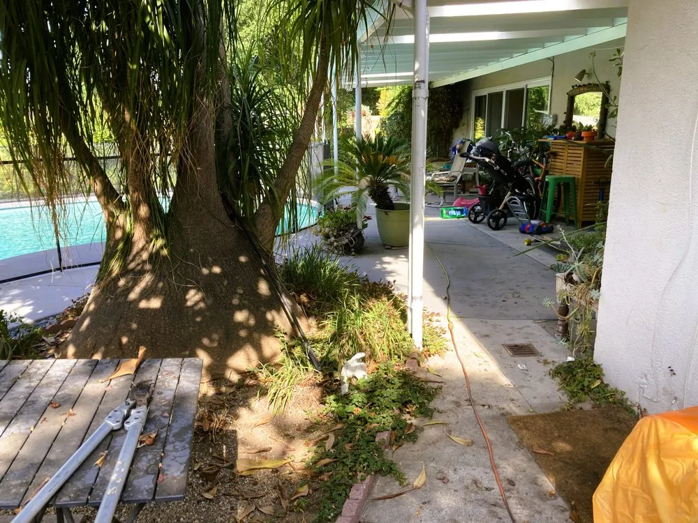 Local yard maintenance in Thousand Oaks, CA - Pro Lawns Landscape