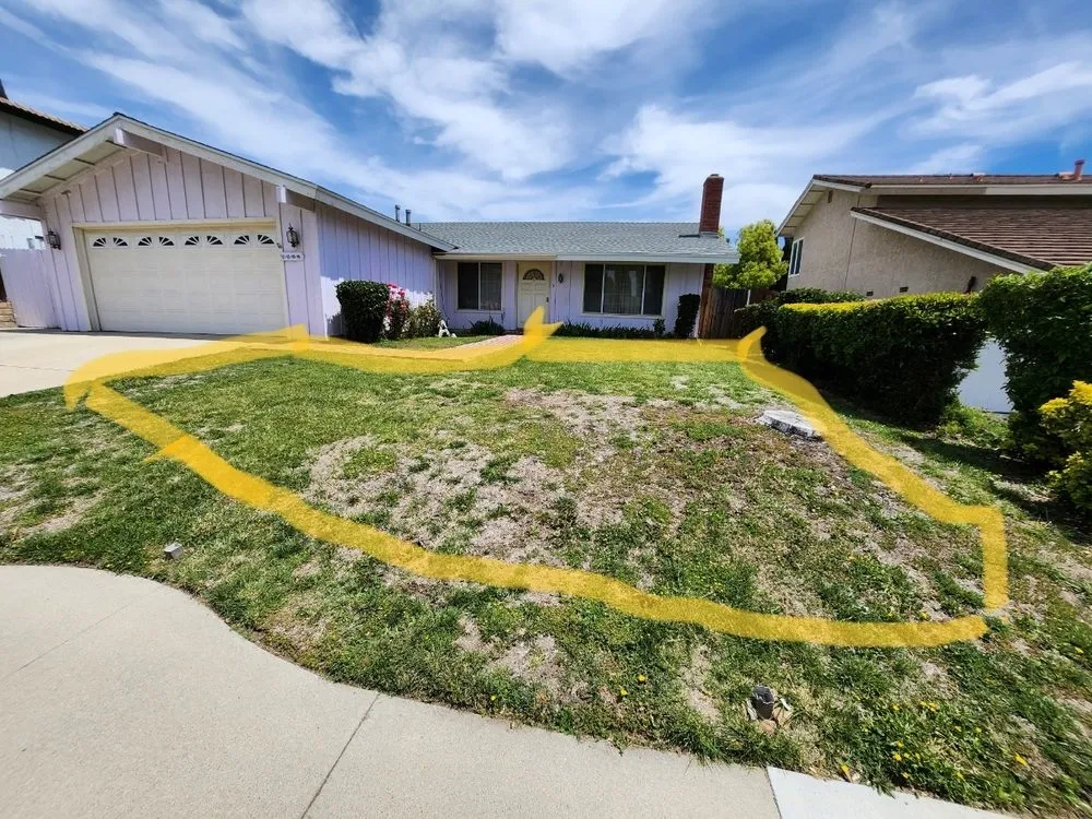 Professional lawn care service in Thousand Oaks, CA by Pro Lawns Landscape