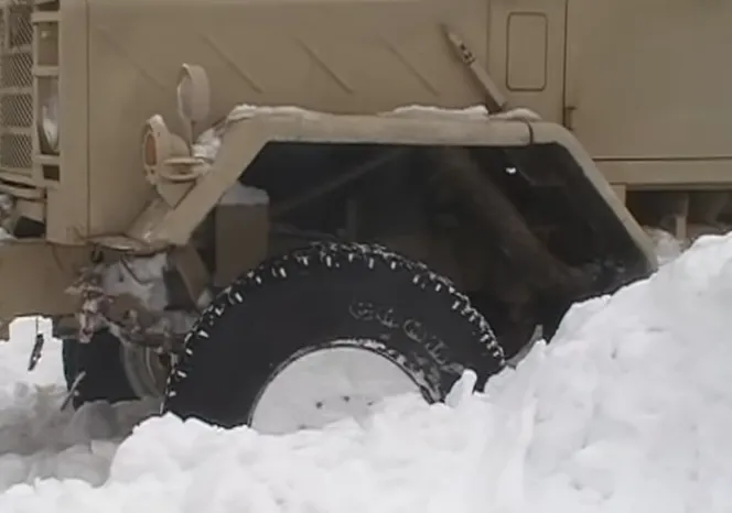 Reliable lawn care service in Ofallon, MO by Pro-Lawns