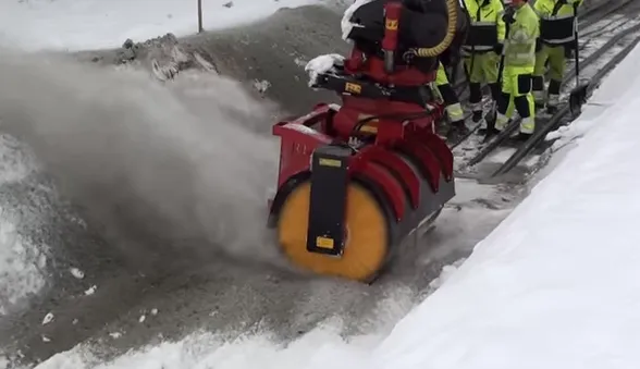 Top-rated garden landscaping experts serving Ofallon, MO - Pro-Lawns