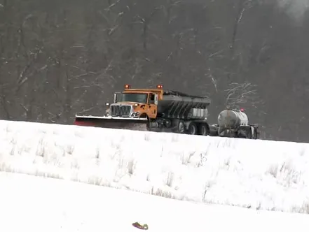 Reliable landscaping services near you in Ofallon, MO by Pro-Lawns