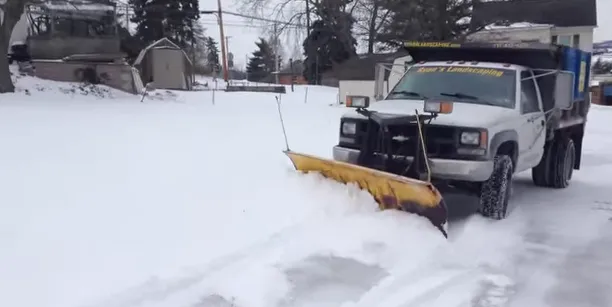 Expert lawn care service experts serving Ofallon, MO - Pro-Lawns