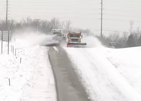 Local yard cleanup service for outdoor upgrades in Ofallon, MO by Pro-Lawns