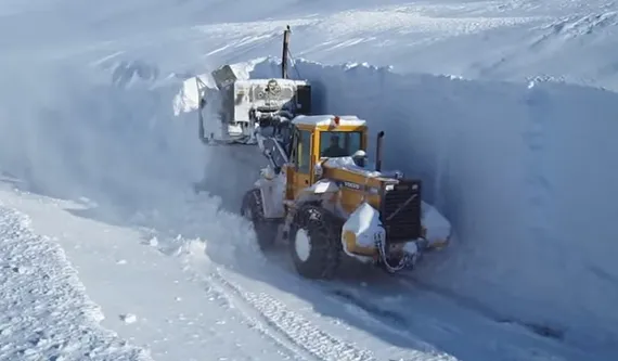 Professional lawn care service experts serving Ofallon, MO - Pro-Lawns