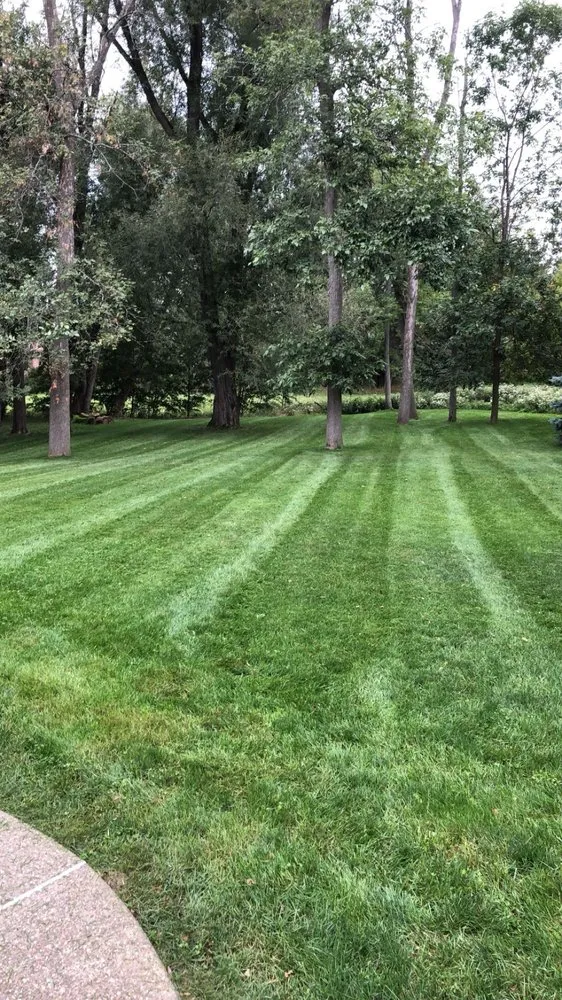 Expert residential landscaping for outdoor upgrades in Orchard Park, NY by Pro Lawns