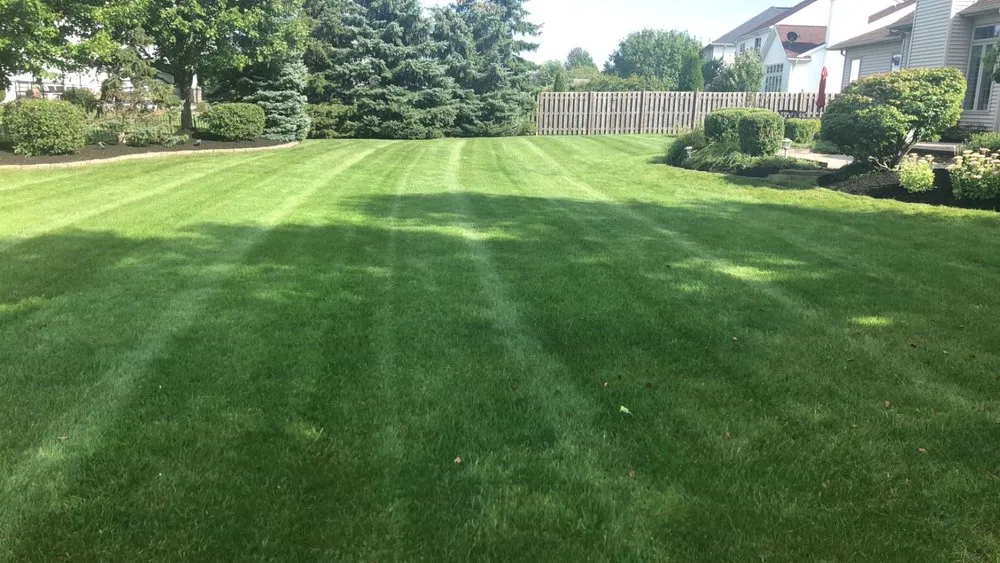 Affordable outdoor landscaping in Orchard Park, NY - Pro Lawns